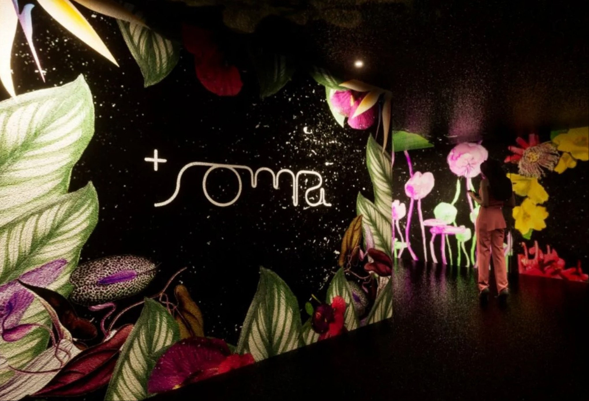 Grupo Soma