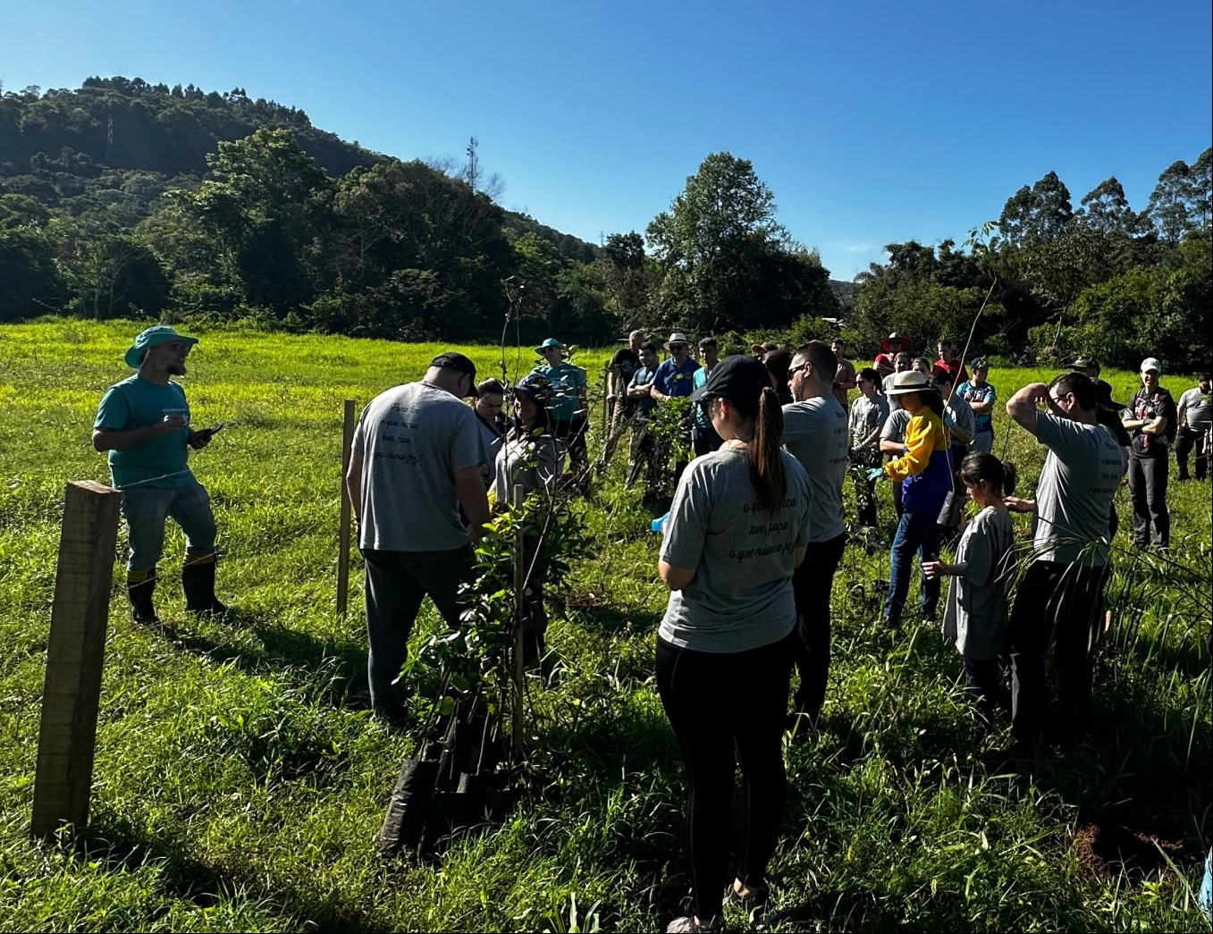 Mudas de árvores nativas acabaram sendo plantadas às margens do Rio Paranhana